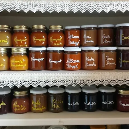 Artemisia B&B Bed and Breakfast Αλμπένγκα