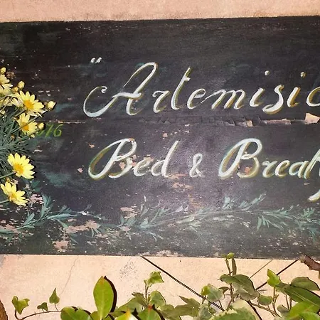 Artemisia B&B * Αλμπένγκα